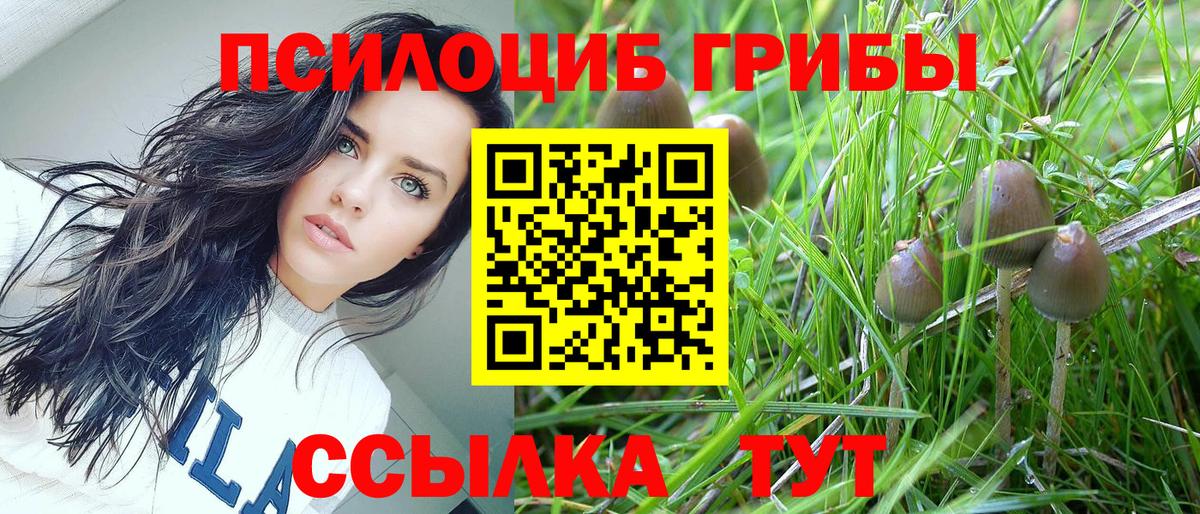 Псилоцибиновые грибы ЛСД  Вход с VPN  Черкесск 